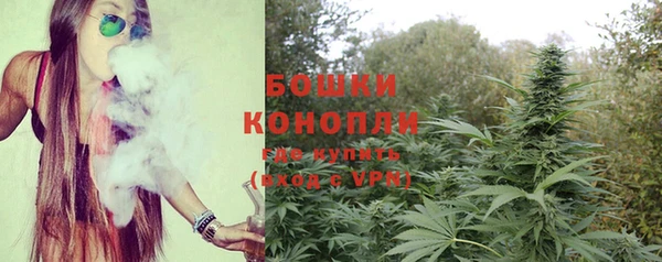 крисы Белоозёрский